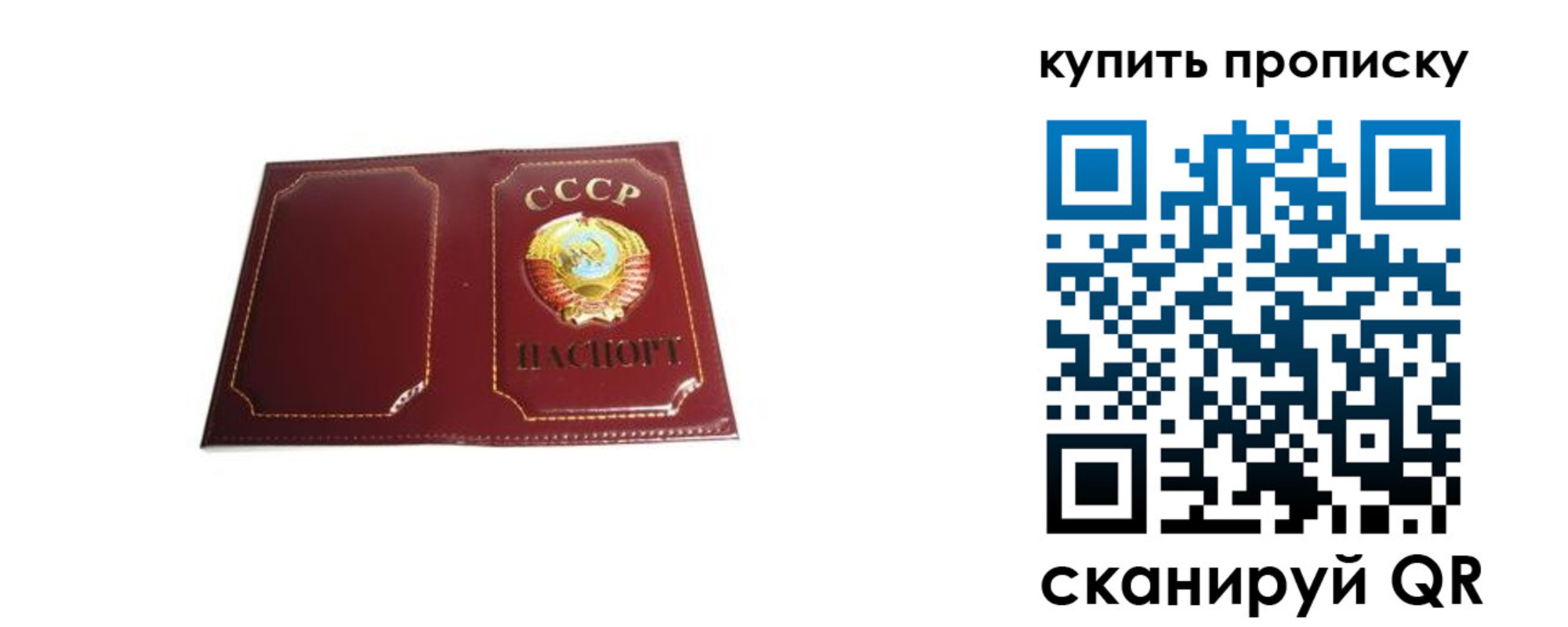 прописка законно в Жуковке